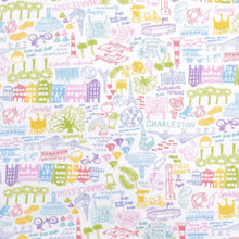 Load image into Gallery viewer, Charleston & Stripe Baby Blanket