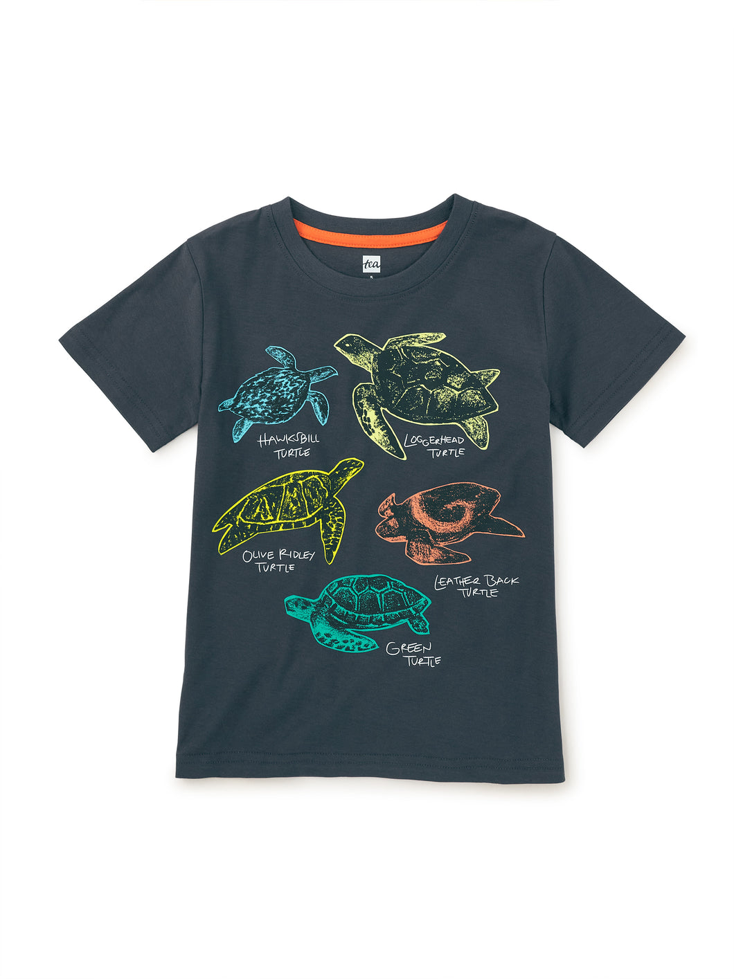 Turtle Discovery Graphic Tee