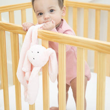 Load image into Gallery viewer, Teether Buddy Betty the Bunny
