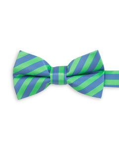 Highland Stripe Blue Green Pre-tied Child Tween Bowtie