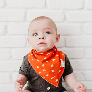 Ace Bandana Bib Set 4pk