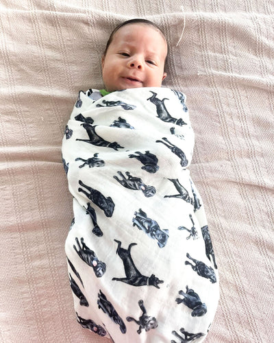 Black Labs Swaddle