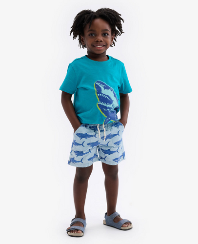 Big Sharks Woven Shorts Sky Blue
