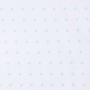 Light Blue Mini Dots Fall 24 Converter