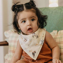 Load image into Gallery viewer, 4 Pack Baby Bandana Bibs - Cheyenne