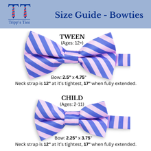 Load image into Gallery viewer, Highland Stripe Blue Green Pre-tied Child Tween Bowtie