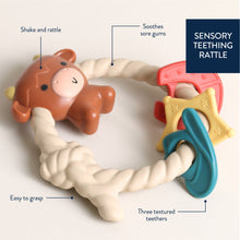 Load image into Gallery viewer, Ritzy Rattle™ Silicone Teether Rattles