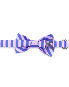 Sunset Orange Purple Stripe Pre-tied Child Bowtie