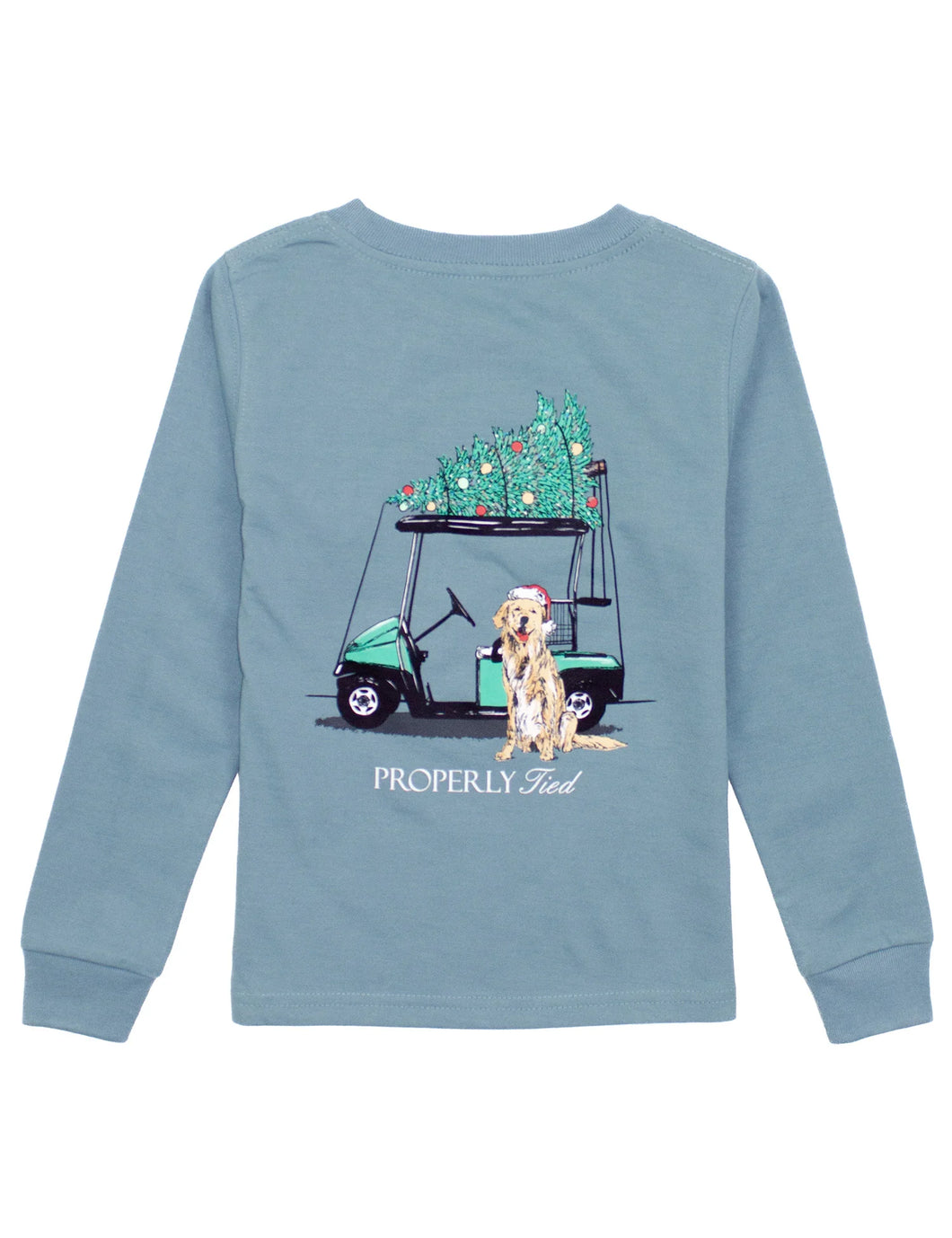 Boys Santa's Caddy Long Sleeve in Steel Blue